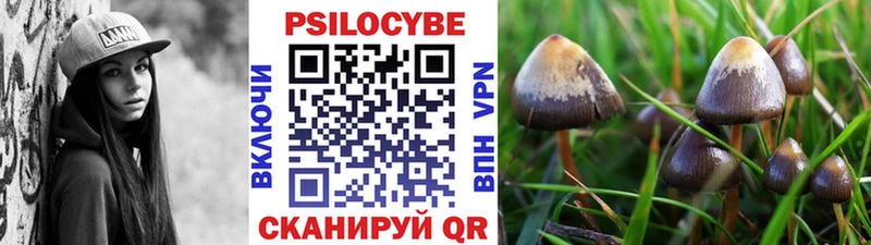Галлюциногенные грибы Psilocybine cubensis  даркнет сайт  ссылка на мегу маркетплейс  Игарка 